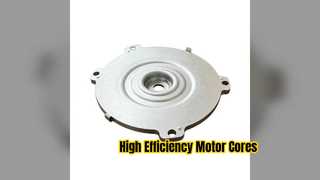 Hochpräzise Eisenkerne für Motorstator und Rotor
